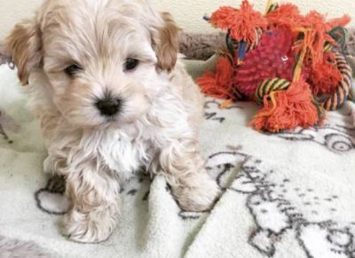 01313_7Cq26wFrrv2_600x450